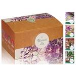 Loveplants Bonsai Starter Kit
