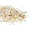 Sepia Crushed VLB021 von Lucky Reptile