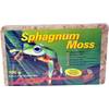 Sphagnum Moss von Lucky Reptile