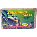 Lucky Reptile Sphagnum Moss