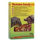 Lucky Reptile TOC-35