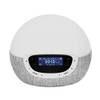 Bodyclock Shine 300 von Lumie