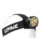 Lupine  Betty RX14