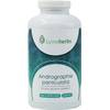 Andrographis paniculata von Lymeherbs