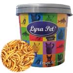 Lyra Pet Mehlwürmer