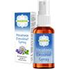 Melatonin Einschlaf-Spray von MADENA