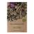 Magic Garden Seeds Bio Brunnenkresse