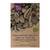 Magic Garden Seeds Borlotto Lingua Di Fuoco PHA01-BIO
