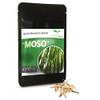 Moso-Riesenbambus von Magic of Nature