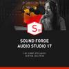Sound Forge Audio Studio 17 von MAGIX