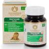 Shatavari Indischer Spargel von Maharishi Ayurveda