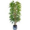 Bambusbaum von Maja Shop