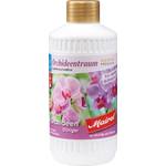 Mairol Orchideentraum