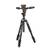 Manfrotto Befree 3-Way Live Advanced 