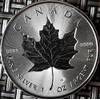 Silber Silbermünze Leaf von Maple Leaf