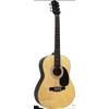 Akustikgitarre  W-100 von Martin Smith