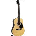 Martin Smith Akustikgitarre W-100