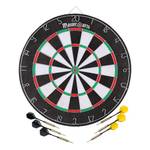 Masterdarts Dartboard