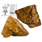 Matchpet Olivenholz Kauwurzel