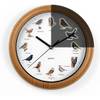 Vogeluhr von MAXXMEE