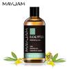 Eukalyptusöl 100 ml von MAYJAM