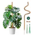 Mcbazel Monstera Rankhilfe