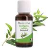 Eukalyptusöl 30 ml von Mearome