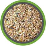 Meine Hennen Wachtelfutter