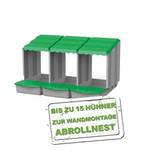 Meine Hennen 561-002