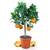 Meine Orangerie Orangenbaum Mezzo