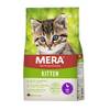 Cats Kitten Ente von Mera