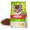 Cats Kitten Huhn von Mera