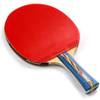 15015 Tischtennisschläger von meteor