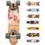 meteor Skateboard Mini Cruiser Kickboard