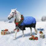 Meulbaty Winterdecke