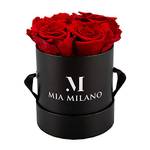 ‎Mia Milano Infitnity Rosen
