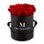 ‎Mia Milano Infitnity Rosen