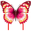 Schmetterling Drachen von Mint's Colorful Life 