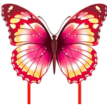 Mint's Colorful Life Schmetterling Drachen