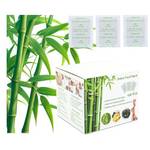 Miucoguier Detox Fußpflaster