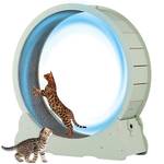 Miwooyy Katzenlaufrad