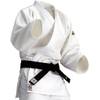 Judoanzug von Mizuno