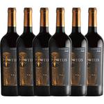 Mondo del Vino Asio Otus Tinto