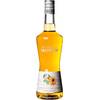 Apricot Brandy von Monin