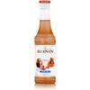 Caramel Light von Monin