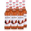 Caramel von Monin