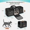 Transportbox von Morpilot