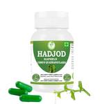 Morsan Healthcare Hadjod Kapseln Cissus Quadrangularis