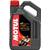Motul 104101