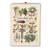 Mrtkbooker Saisonkalender